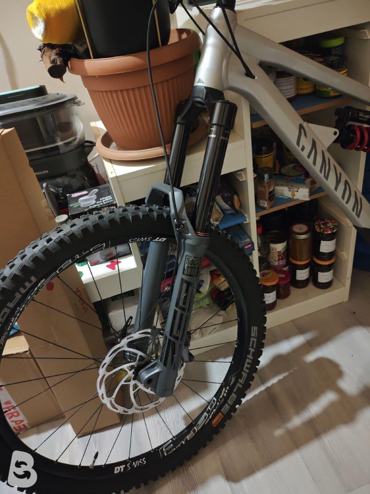 Canyon Torque AL 6.0 2024