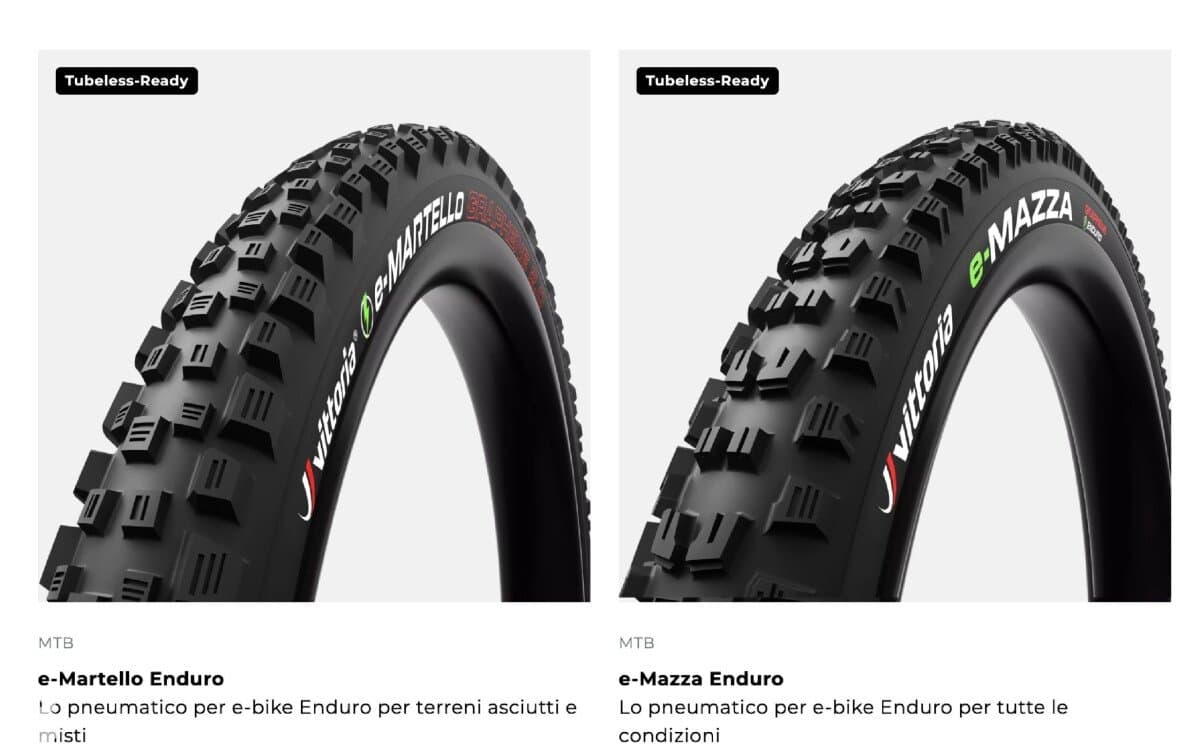 Orbea WILD M10 2024