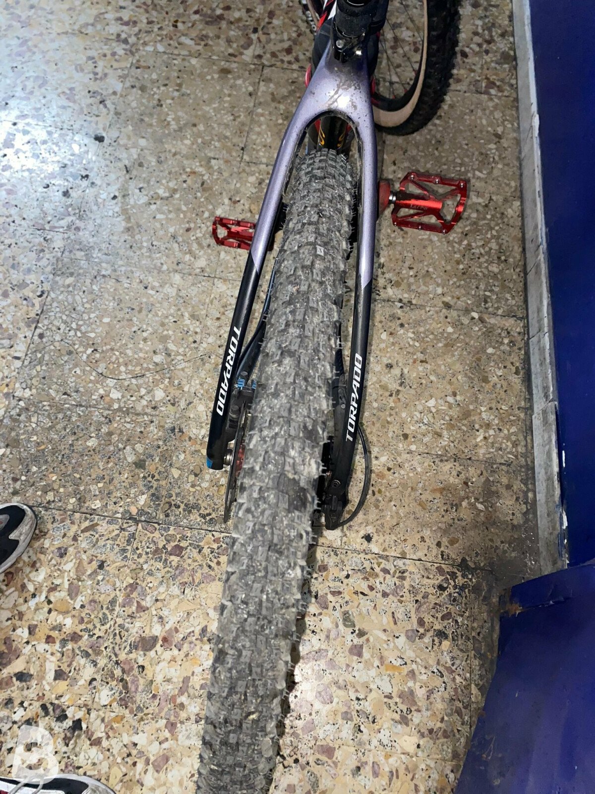 Torpado Ribot S full carbon 2019