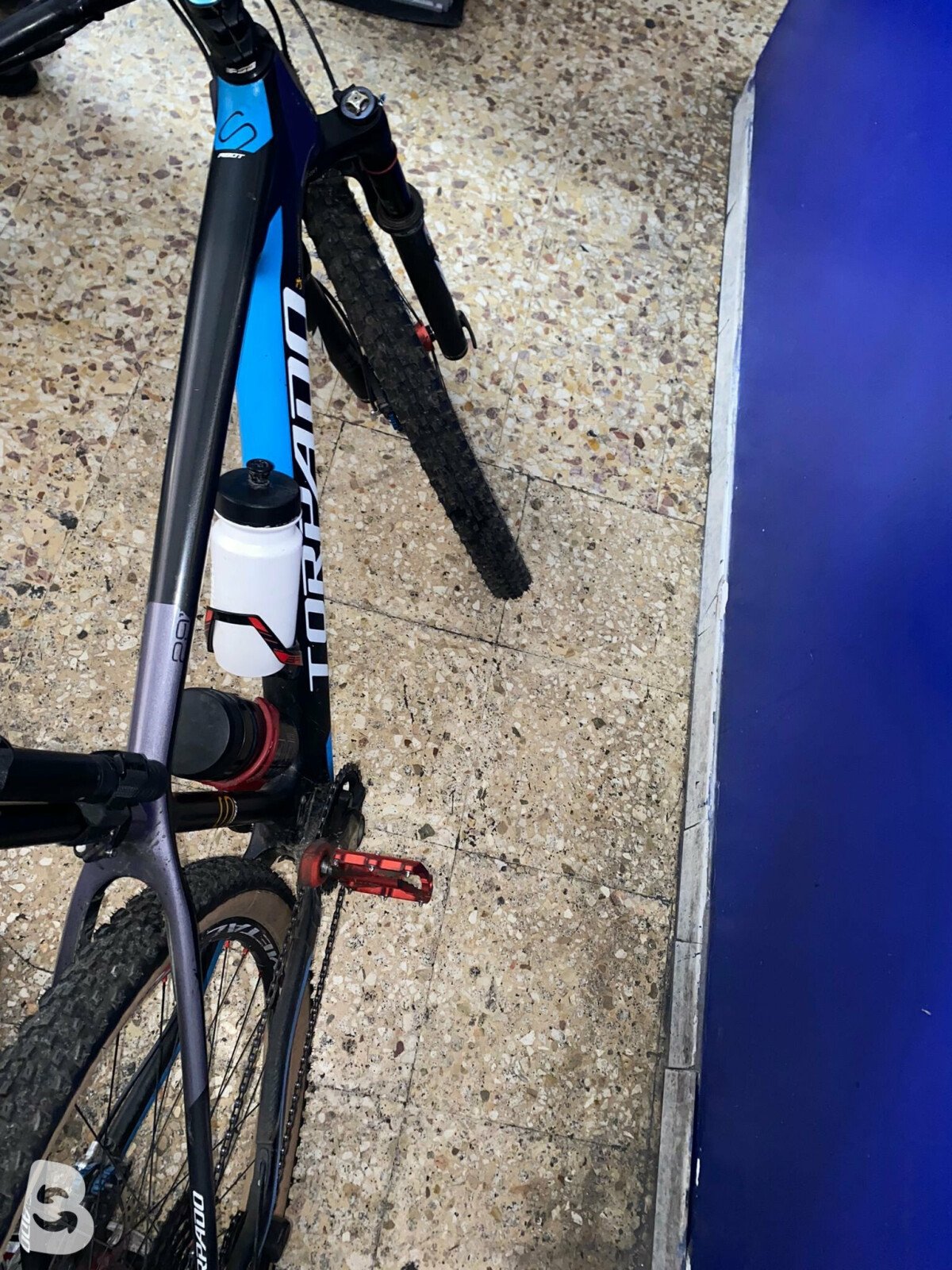Torpado Ribot S full carbon 2019
