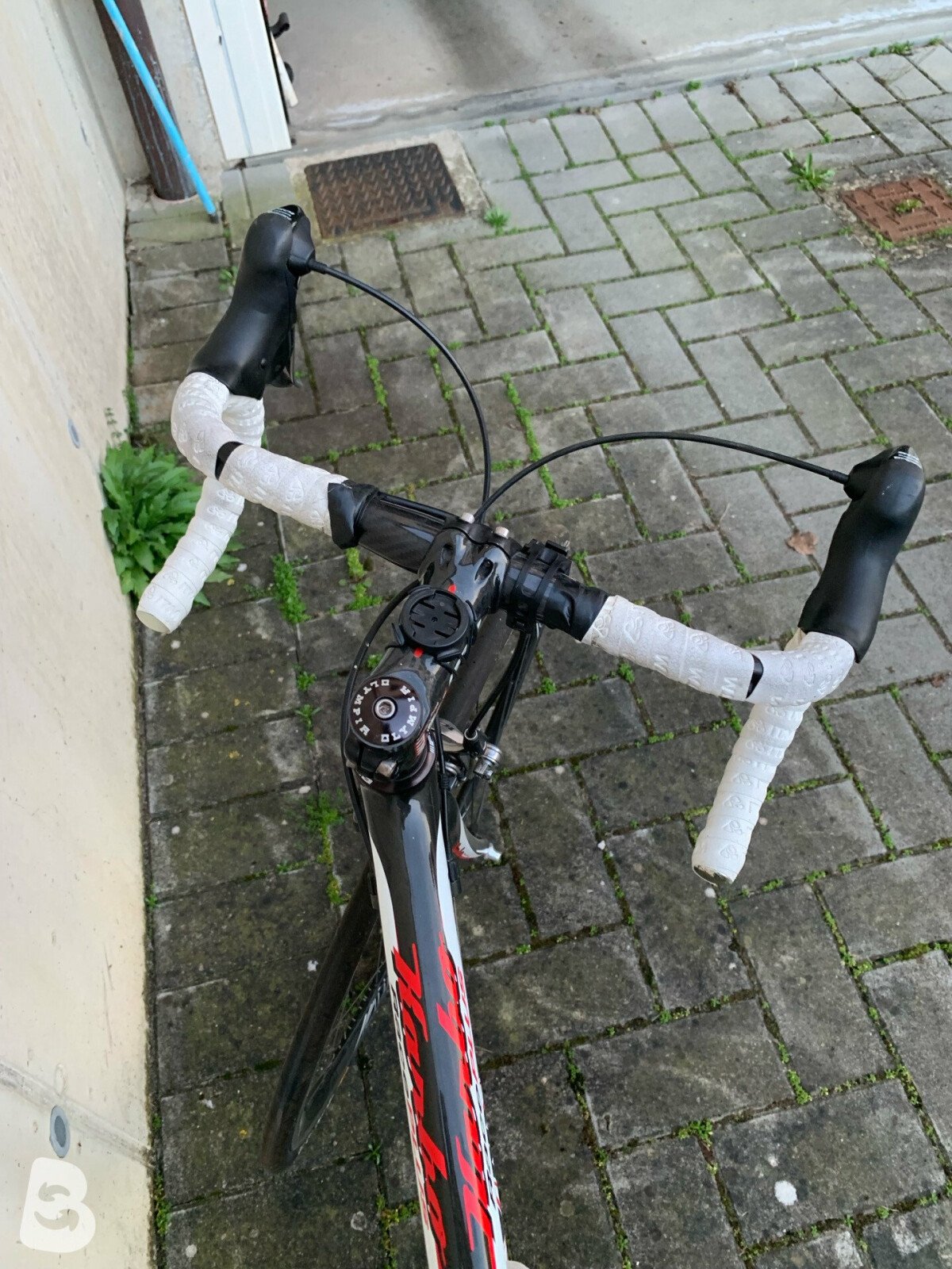 Olympia Karbo Race Plus
