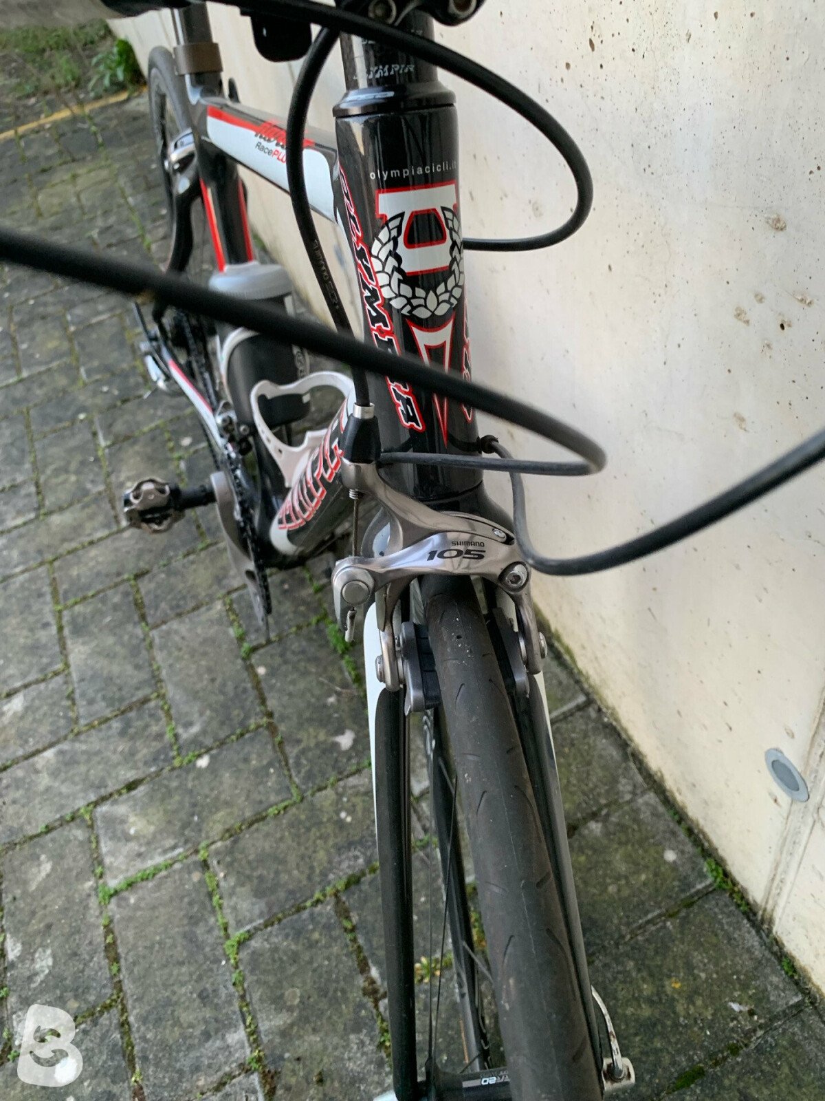 Olympia Karbo Race Plus