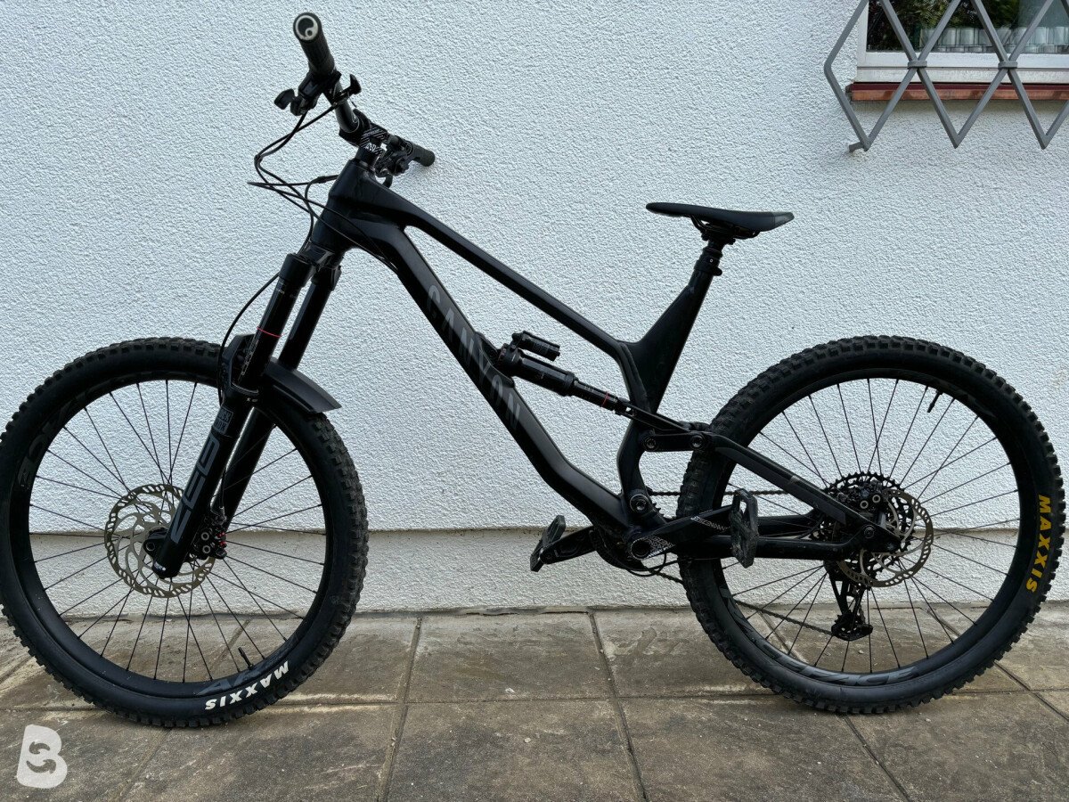 Canyon Torque 5.0 2021