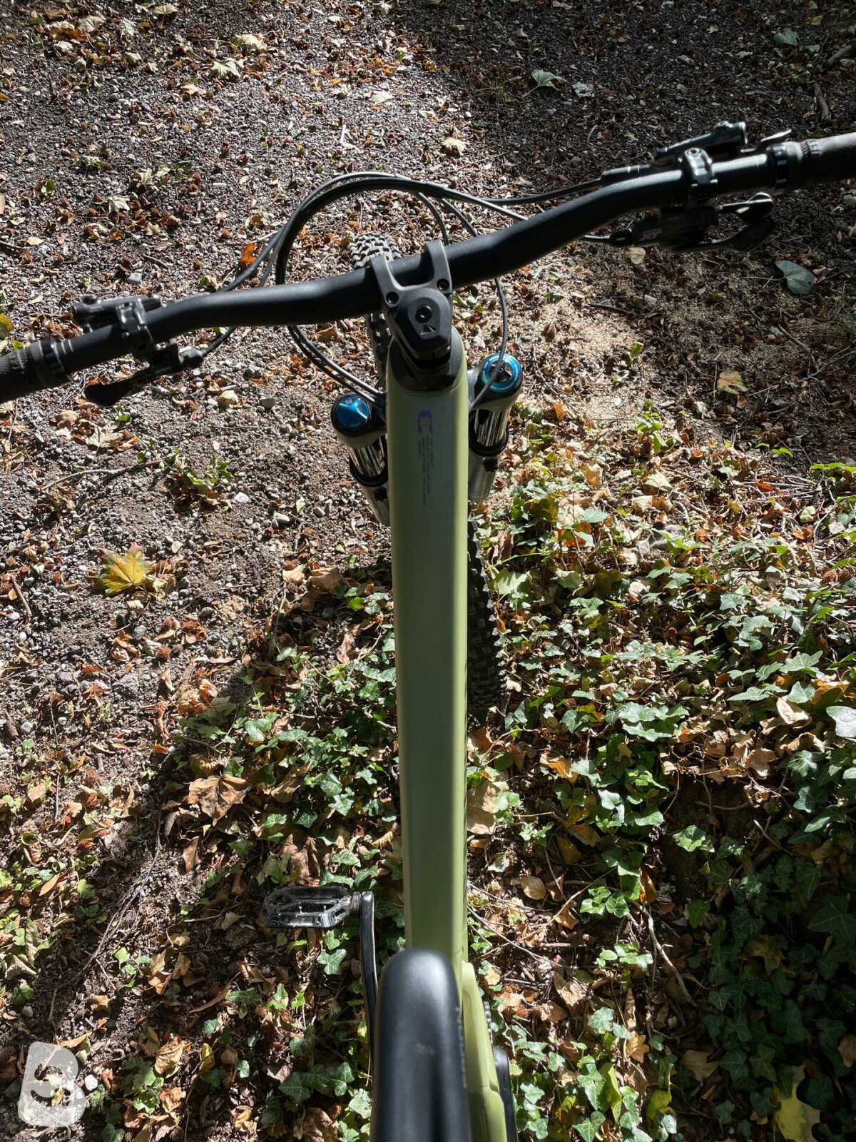 Canyon Torque CF 9.0