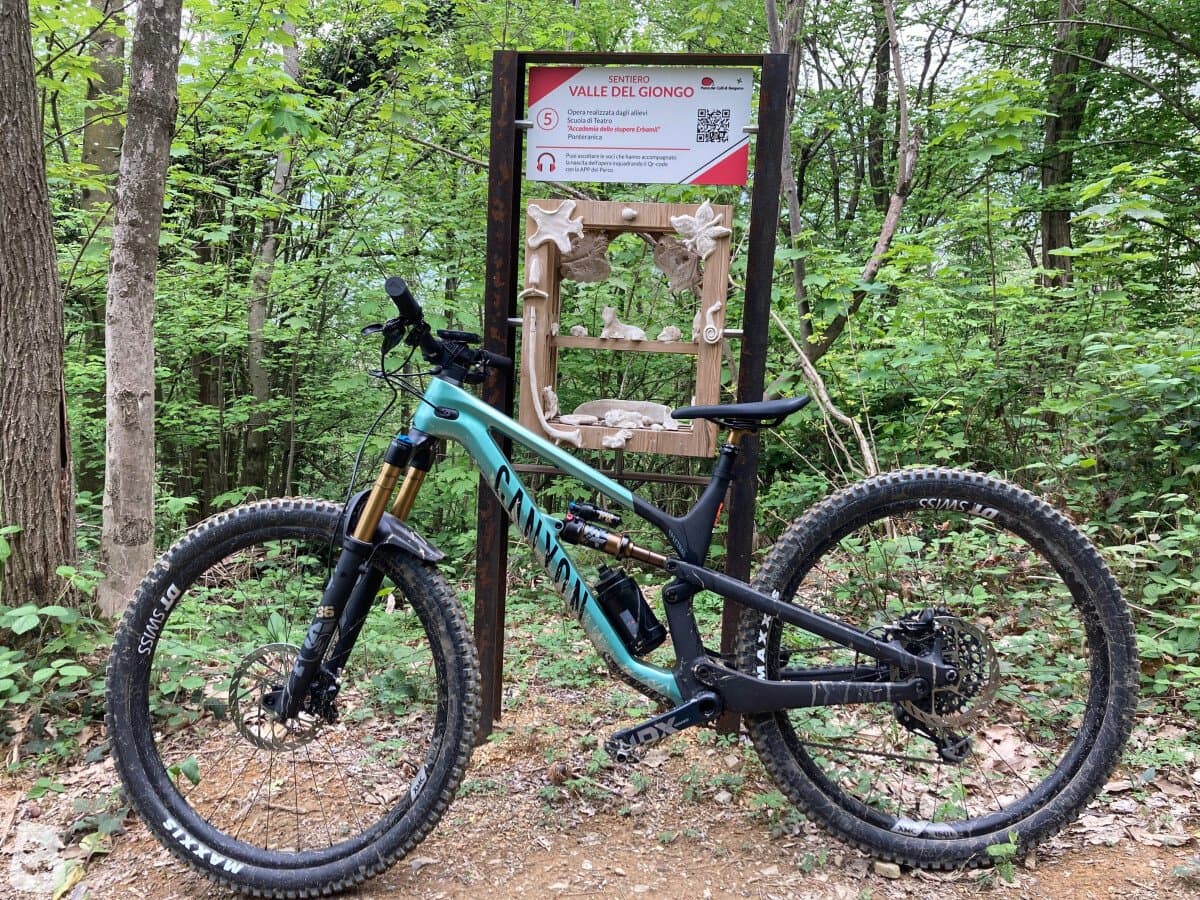 Canyon Spectral CFR 9.0 2023