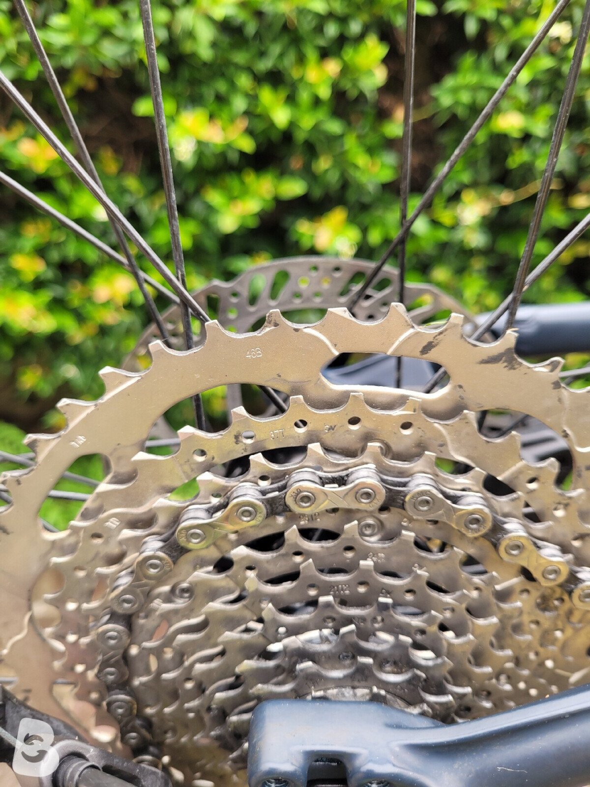 Trek Marlin 7 2021