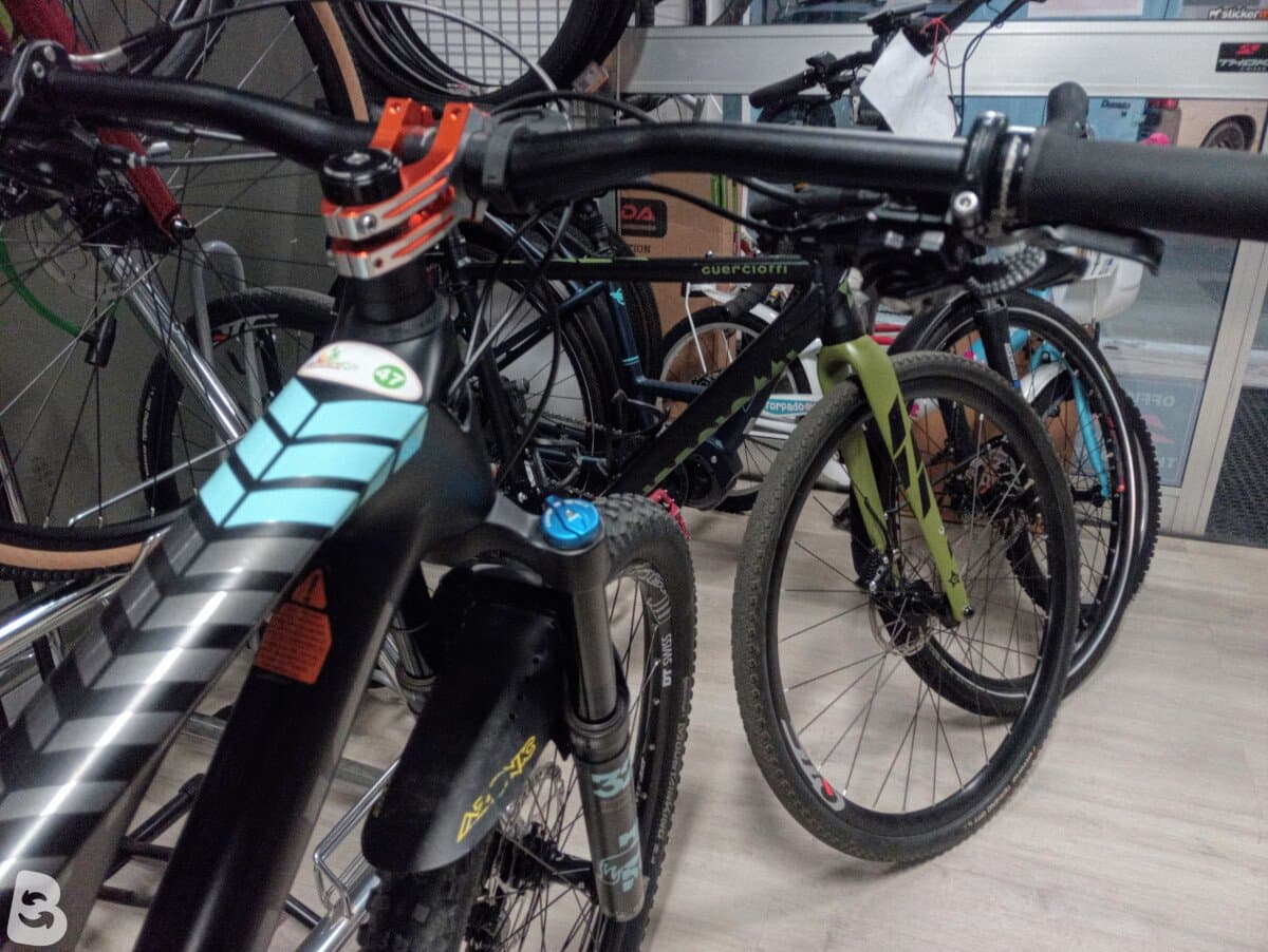 Focus spine c pro 2020
