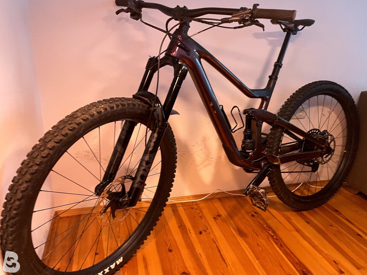 Scott Contessa Ransom 910 2021